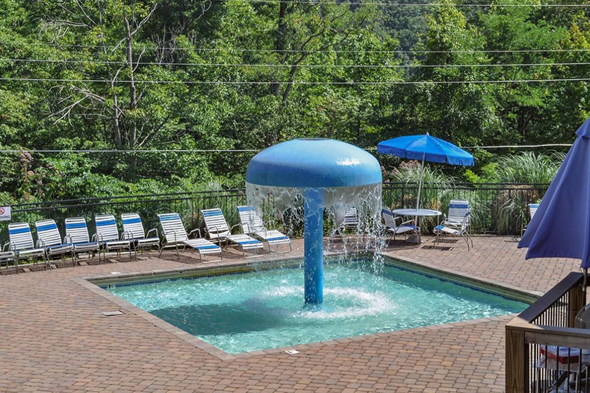 Beartastic Mountain View Lodge ガトリンバーグ エクステリア 写真