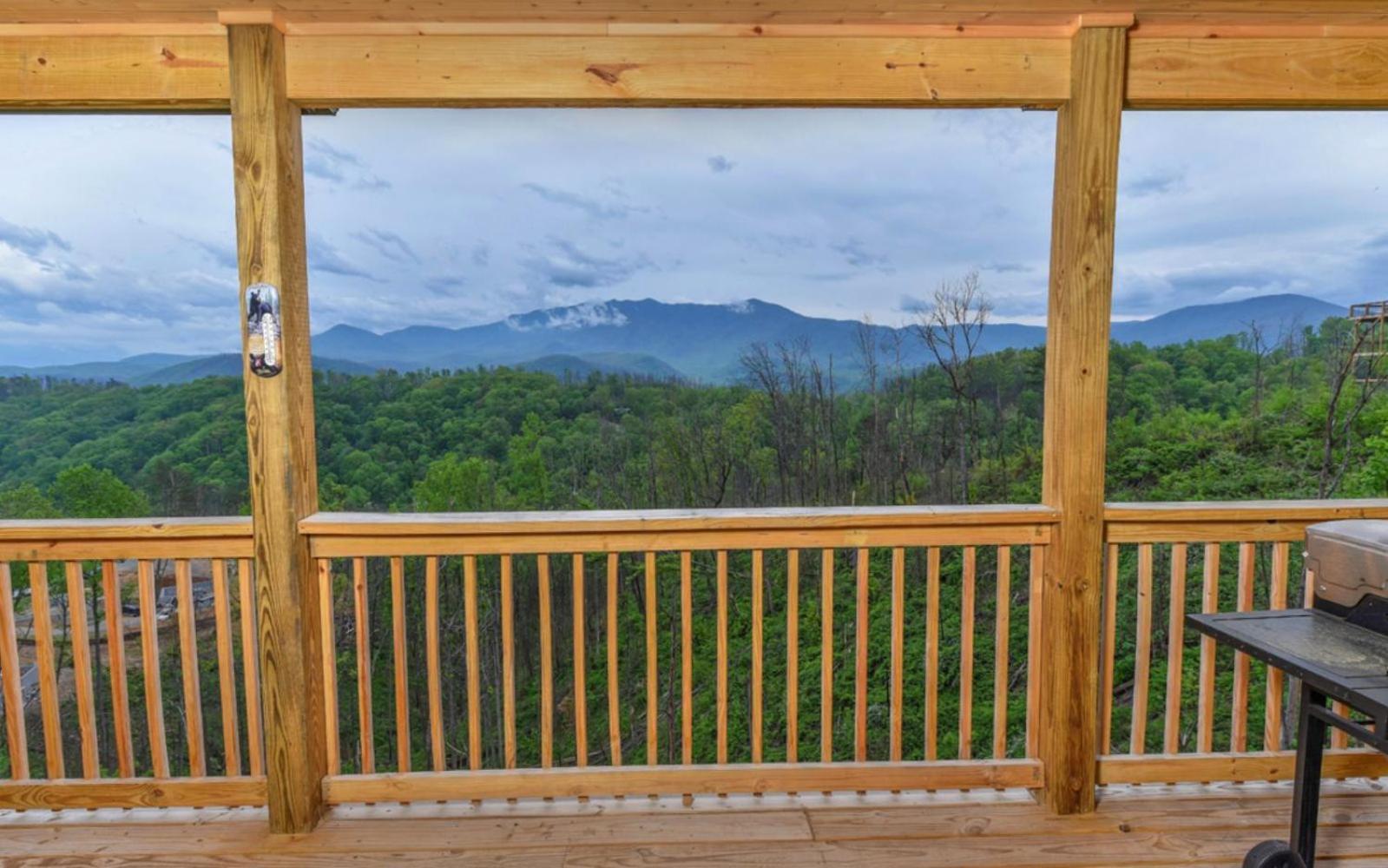 Beartastic Mountain View Lodge ガトリンバーグ エクステリア 写真