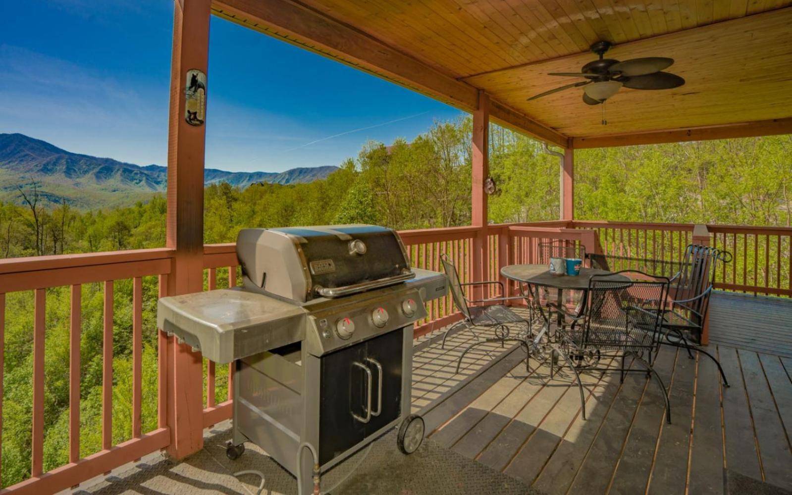 Beartastic Mountain View Lodge ガトリンバーグ エクステリア 写真
