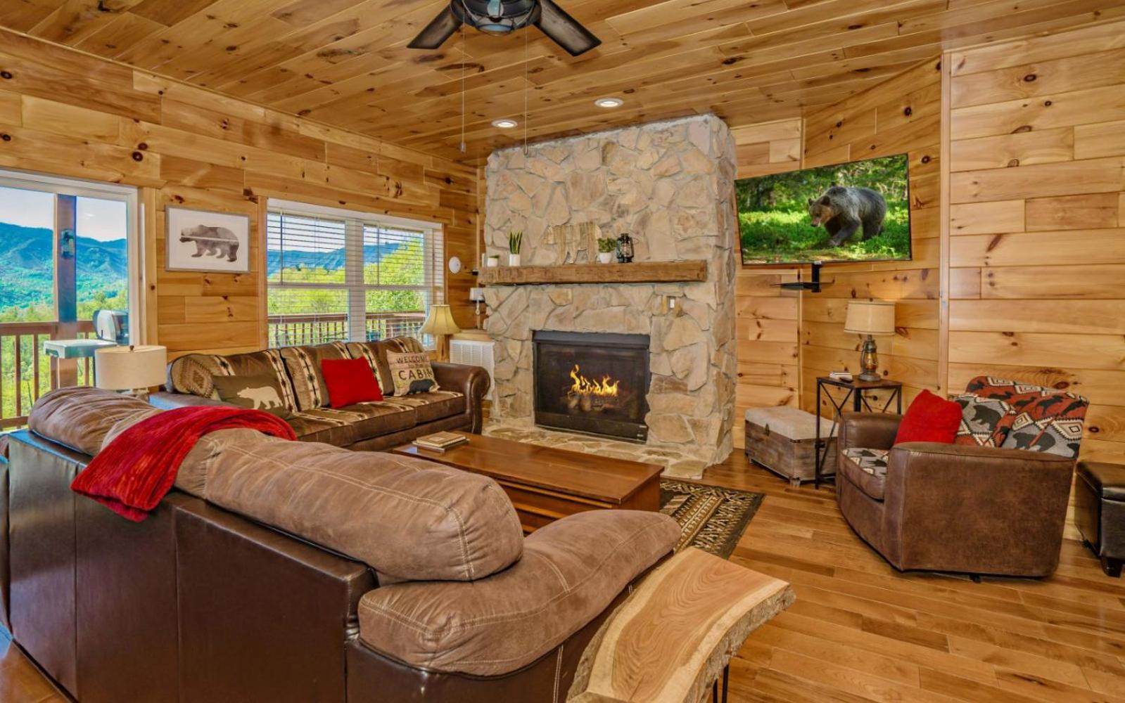 Beartastic Mountain View Lodge ガトリンバーグ エクステリア 写真